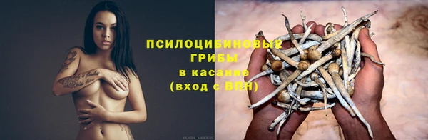 индика Армянск