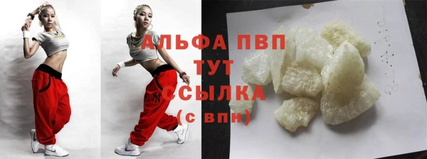 индика Армянск