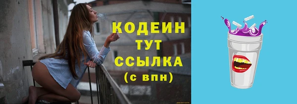 спиды Арсеньев