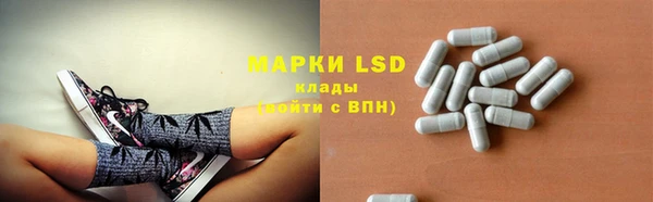 индика Армянск