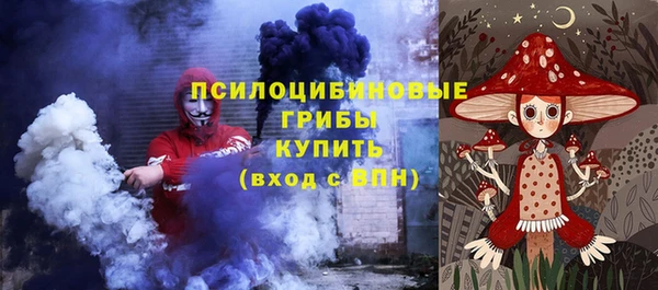 индика Армянск