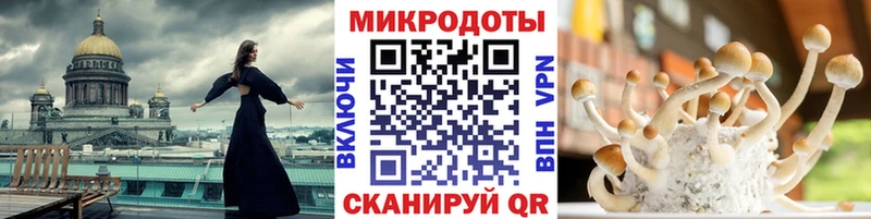 Галлюциногенные грибы Magic Shrooms  цены наркотик  Кадников 